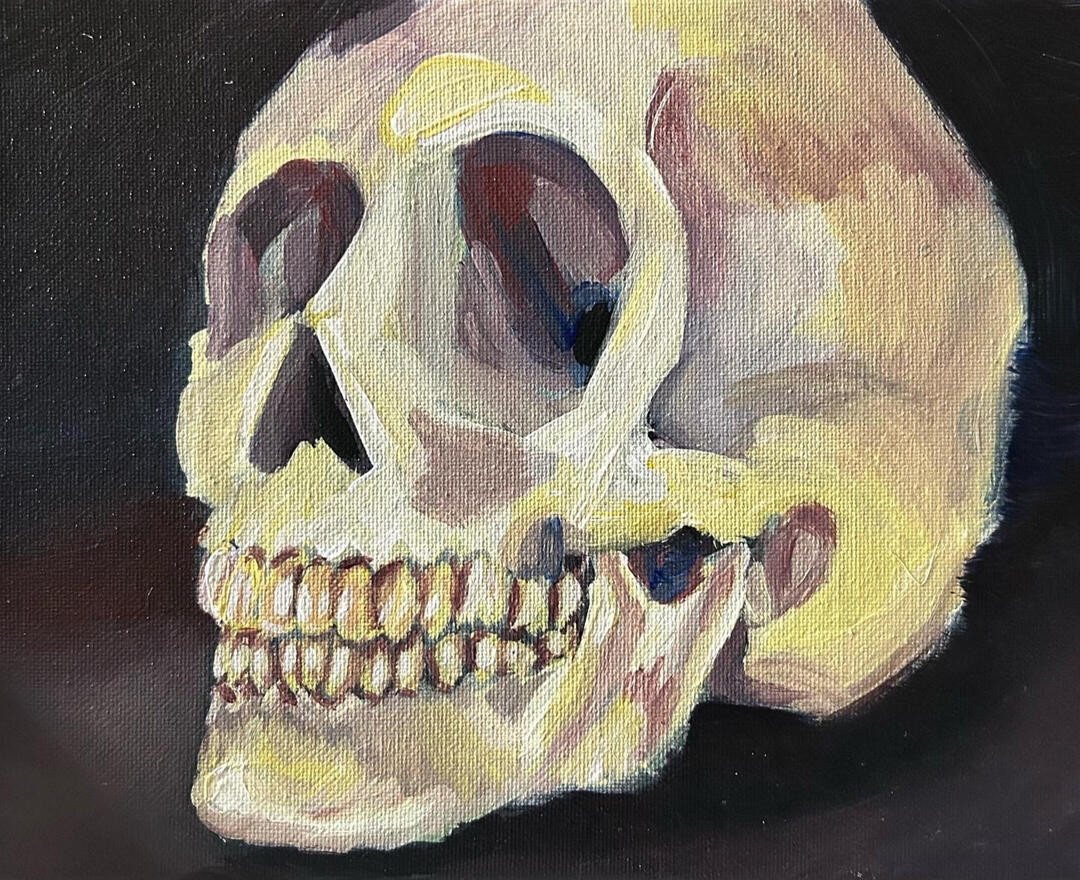 skull